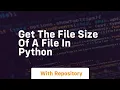Get the file size of a file in python