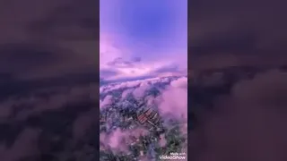 السعادة شوف سعادتك جنب مين 