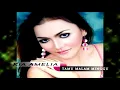 Download Lagu Ria Amelia - Tamu Malam Minggu (Official Music Video)