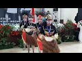 Download Lagu Goyang Masuk Minta Nona ala Papua