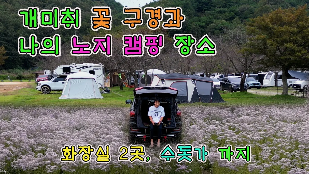 문경 개미취 꽃 구경, 그리고 이번에도 만족했던 나의 노지 캠핑 장소. 얼릉와요  #노지캠핑 #노지캠핑장 #캠핑 #차박 썸네일