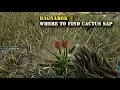 Ark Ragnarok Where to find Cactus Sap