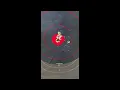 Bear Creek Ballistics 250gn HV and Cutting Edge 260gn Maximus 45-70