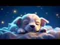 Download Lagu Peaceful Sleep In 3 Minutes, Fall Asleep Fast - Sleep Music for Deep Sleep - No More Insomnia