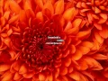 Slow down- Morcheeba karaoke (instrumental+lyrics)