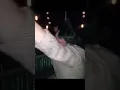 Hitler dancing in a pub