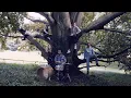 Download Lagu Kalabrese with Rumpelorchester - Nimm Mini Hand (Official Video)
