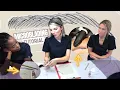 Microblading Practice - STEP by STEP strokes and useful TIPS For Beginners
