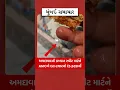 05 Gwalia Sweets Fined by AMC REEELLSSSSSS