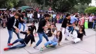 flashmob 17 sector chandigarh the dance mafia ripanpreet sidhu 9501915706