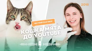 КОШКА МЯТА: КАК ВСЕ НАЧИНАЛОСЬ?😍