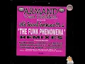 Download Lagu Armand Van Helden - The Funk Phenomena (Original Mix) [Henry Street Music - 1996]