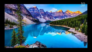 محمد كندو لم نخلق عبثا 