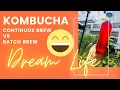 Kombucha Continuous Brew or Batch Brew
