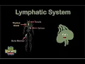 The Human Body Lymphatic System Song Anatomy