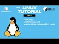 Linux Tutorial Part 11 for loop while loop and all that