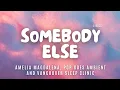 Download Lagu Amelia Magdalena, Pop Goes Ambient and Vancouver Sleep Clinic - Somebody Else - Lyric Video