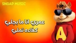 مهرجان عمري انا ما بجلي كفاءه تملي بصوت السناجب 