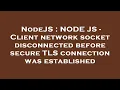 NodeJS NODE JS - Client network socket disconnected before secure TLS connection was established