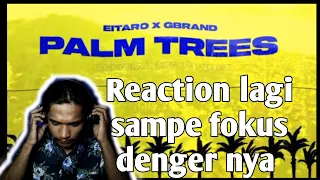 Download Eitaro x gbrand- PALM TREES (Reaction) MP3