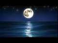 Sea and Full Moon Night Sky with Flashing Stars Beautiful Relaxing Looped Animation 1080