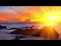 Meditation Music, Stress Relief Music, Relaxing Music, Sleep Music, Study Music, Meditation, ☯2020