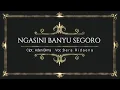 Download Lagu Ngasini banyu segoro - Bera Ridaena (Official Musik Video)