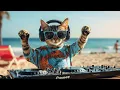 Download Lagu DJ MIAWW - House Beach Party 2025 | Epic Sunset Grooves \u0026 Dance Vibes with The Coolest Cat DJ! 🌅🎶🎉