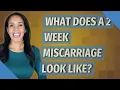 What does a 2 week miscarriage look like