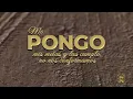 Mis Metas - Grupo Descarga Del 3030 (Letra Oficial)