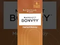Best Hotel Loyalty Programs in 2026 More