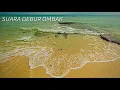 Download Lagu Suara Ombak dan Kicau Burung Camar - Relaksasi Suara