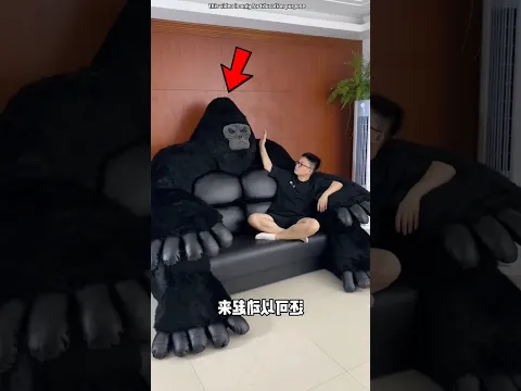 Bear bed 😲