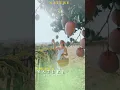 Download Lagu SWEET NATURE TEMPLATE #shorts #trending #CapCut #cinematic #aesthetic #viral#vlog