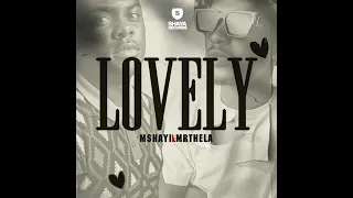 mshayi u0026 mr thela lovely