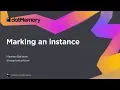 Marking an Instance - dotMemory Tutorial