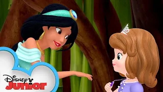 princess sofia the first meets disney aladdins princess jasmine sofia the first disneyjr