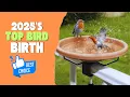 Best Bird Baths for Gardens 2025 Top 5 Must-Have Baths