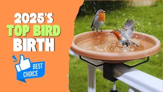 Best Bird Baths for Gardens 2025 Top 5 Must-Have Baths