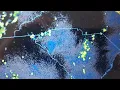 Nexrad Radar in the Southeast This is for You Super Dave July 13th 2025 2 50 pm