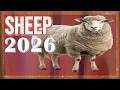 Sheep Horoscope 2026 Born 2015 2003 1991 1979 1967 1955 1943 1931
