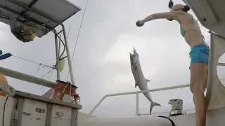 Awesome SUNSET SAIL. And we catch dinner on the way! – UNTIE THE LINES IV #26