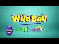 How to Play Cash 4 Wild Ball