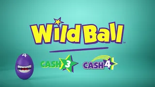 How to Play Cash 4 Wild Ball