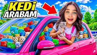 TINY CAR ARABAMI KEDİ EVİ YAPTIM !! ELİF SİNEM !!
