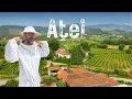 Download Lagu Descobrimos o Segredo do Norte de Portugal entre Vinhos e Abelhas