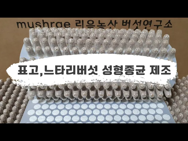Outline Video 2023 표고,느타리 성형종균 제조