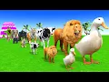 Long Slide Game with Cow Elephant Gorilla Hippopotamus Tiger 3d Animal Game Funny 3d Animals