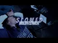 Download Lagu Billie Eilish - WILDFLOWER (super slowed)