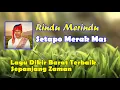 Download Lagu SETAPO MERAK MAS - RINDU MERINDU VIDEO LIRIK  LAGU DIKIR BARAT ASLI  LAGU DIKIR BARAT TERBAIK